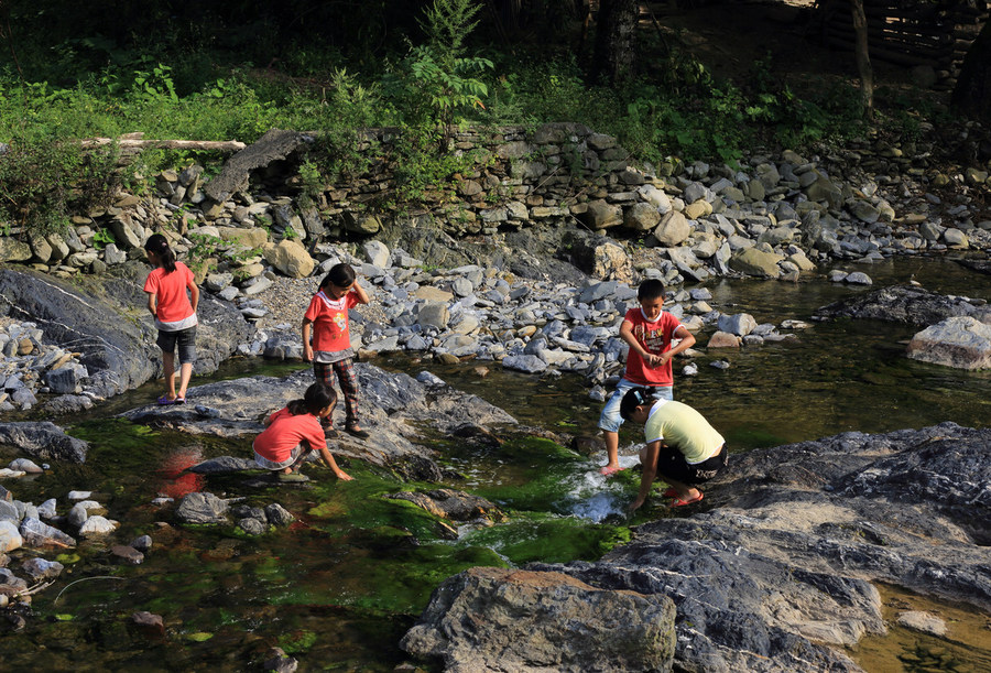 5f041283d15e0.jpg 5f041283d15e0.jpg