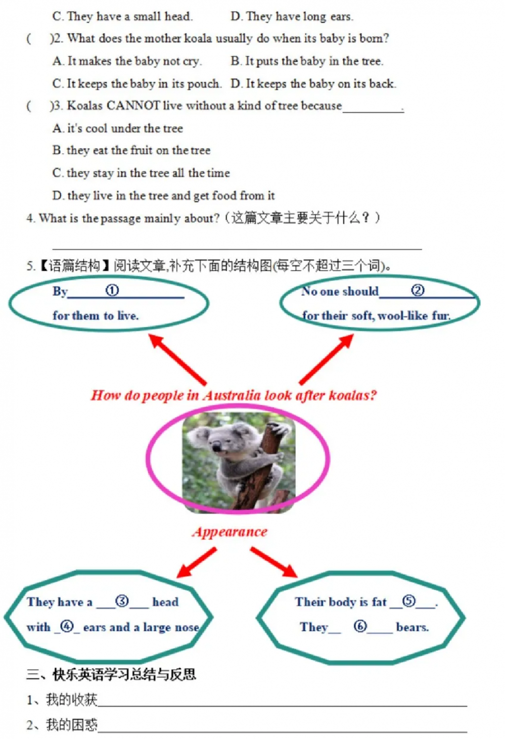 67a49c4842374.png